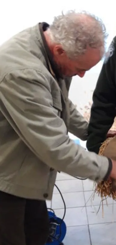 Nick Mackay handling a bundle of reed at the Great Fen workshop