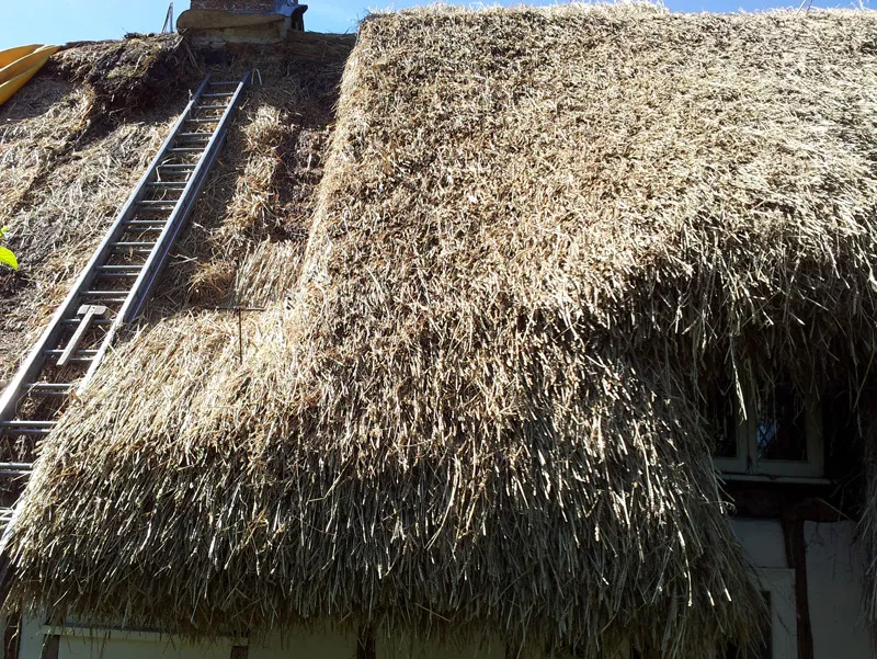 Long straw thatch around an eyebrow window, during work