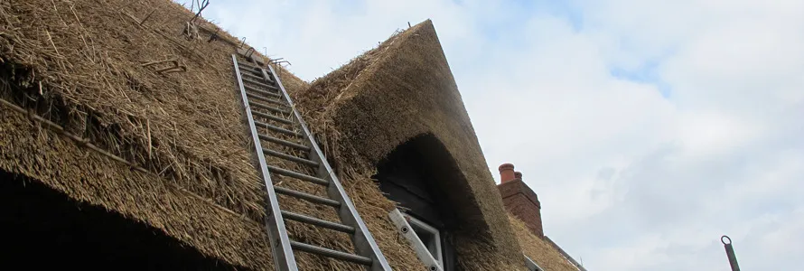 Long straw thatch around a window at Shillington, Bedfordshire
