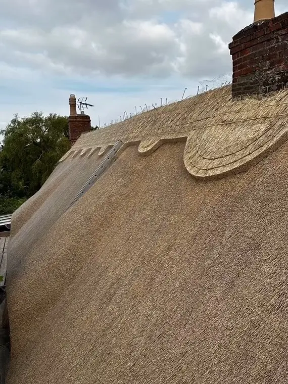 Patterned ridge and chimney on the same cottage
