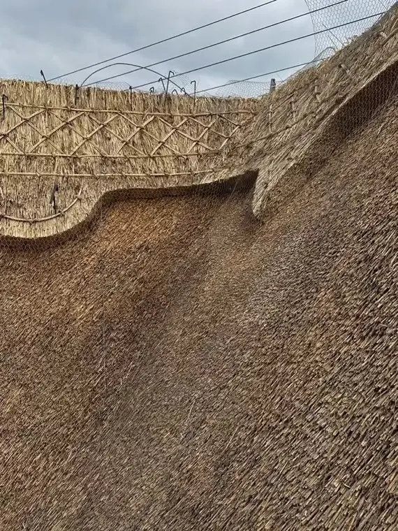 Close-up of a cut ridge pattern, 2024