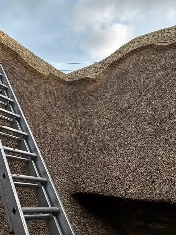Ladder against a freshly finished ridge, 2024