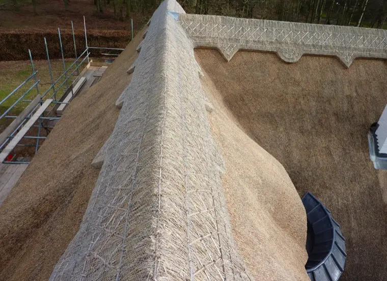 Ridge detail and finish