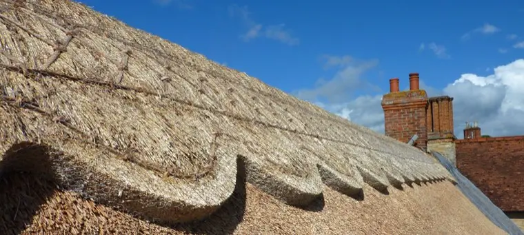 Close-up of a patterned ridge