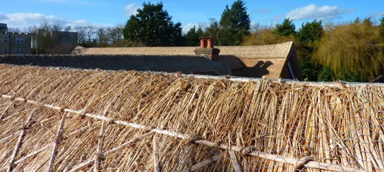 Straw thatch and ridge, close up